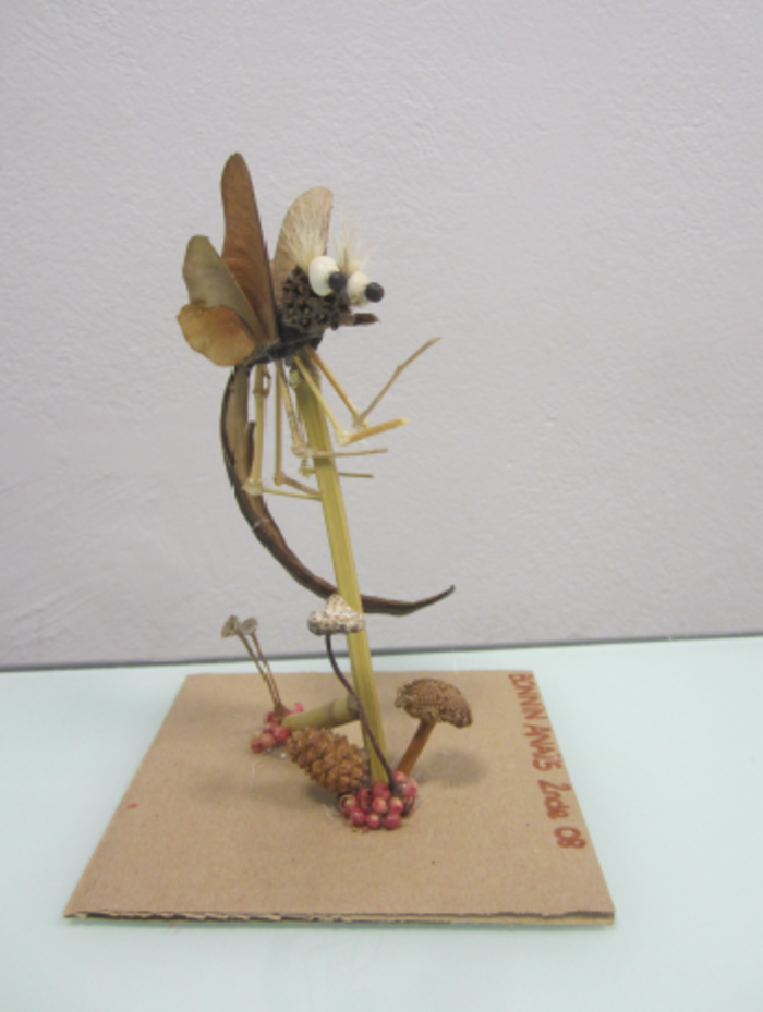 2018-07-30 07_45_58-RA  Bonaparte Land Art  2018  - copie.pdf - Adobe Acrobat Reader DC.png