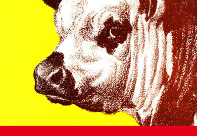 Logo Compagnie des Petits Champs